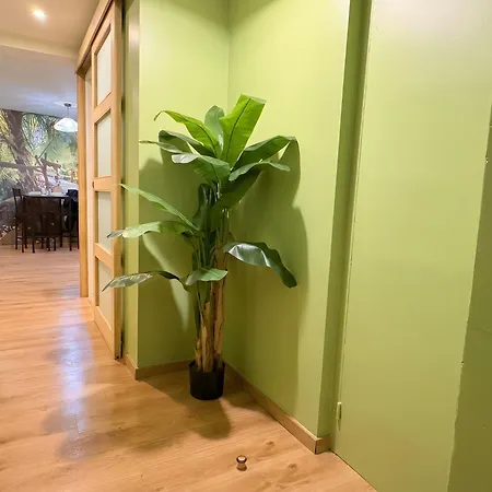 Jungle Sakura - 2-4 Pers - Centre - Clim By Narbana Lejlighed